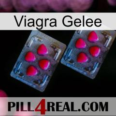 Viagra Jelly 14